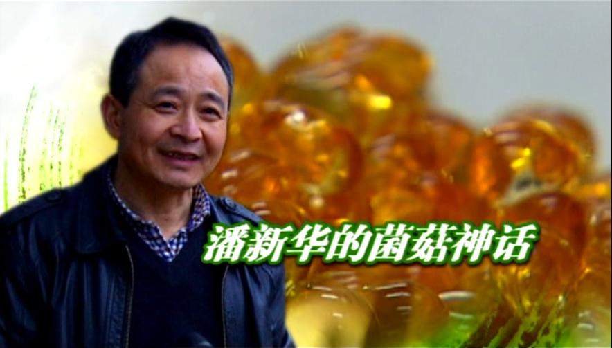 杭州亞運(yùn)會(huì)官方靈芝產(chǎn)品供應(yīng)商|杭州亞運(yùn)會(huì)官方供應(yīng)商|中國靈芝十大品牌|仙客來靈芝|仙客來靈芝破壁孢子粉|仙客來孢子油|仙客來靈芝飲片|仙客來破壁孢子粉|靈芝孢子油|孢子粉|靈芝破壁孢子粉|靈芝|中華老字號(hào)