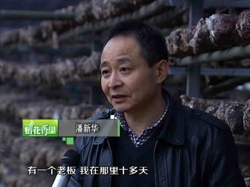 杭州亞運(yùn)會(huì)官方靈芝產(chǎn)品供應(yīng)商|杭州亞運(yùn)會(huì)官方供應(yīng)商|中國靈芝十大品牌|仙客來靈芝|仙客來靈芝破壁孢子粉|仙客來孢子油|仙客來靈芝飲片|仙客來破壁孢子粉|靈芝孢子油|孢子粉|靈芝破壁孢子粉|靈芝|中華老字號(hào)