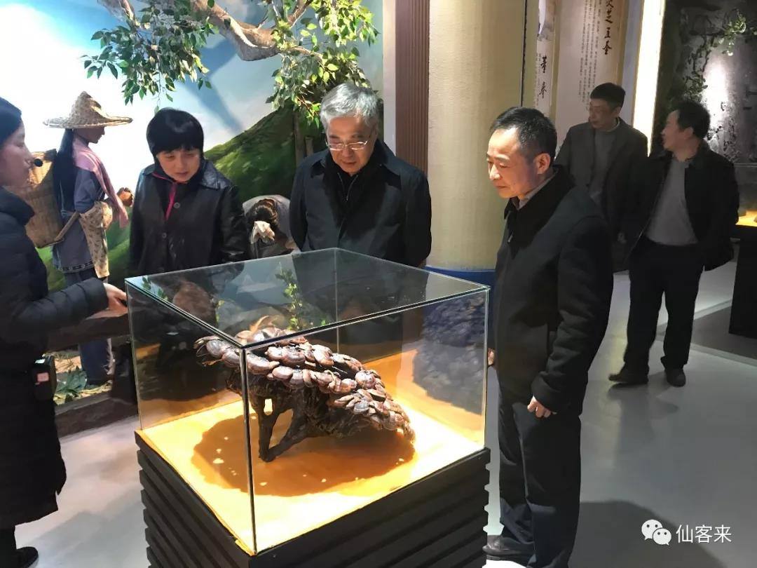 中國(guó)靈芝十大品牌|仙客來(lái)靈芝|仙客來(lái)靈芝破壁孢子粉|仙客來(lái)孢子油|仙客來(lái)靈芝飲片|仙客來(lái)破壁孢子粉|仙客來(lái)靈芝中藥飲片|馳名商標(biāo)|clgj56.com.cn|