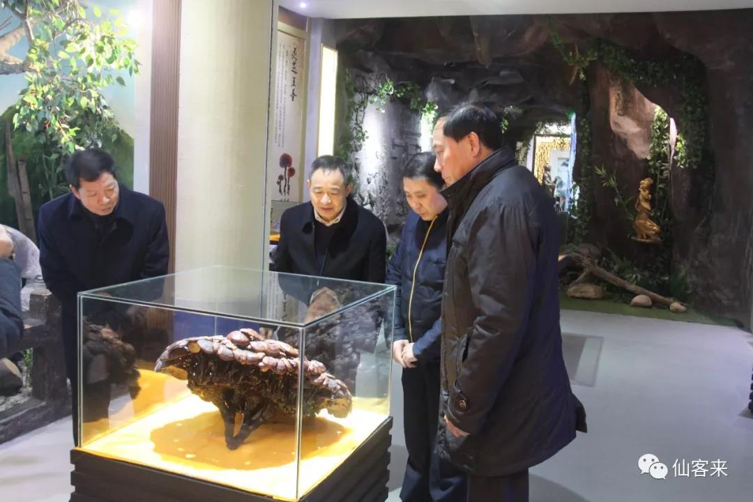 中國(guó)靈芝十大品牌|仙客來(lái)靈芝|仙客來(lái)靈芝破壁孢子粉|仙客來(lái)孢子油|仙客來(lái)靈芝飲片|仙客來(lái)破壁孢子粉|仙客來(lái)靈芝中藥飲片|馳名商標(biāo)|clgj56.com.cn|