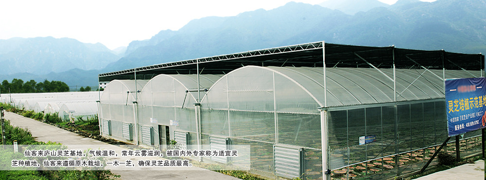 中國靈芝十大品牌|仙客來靈芝|仙客來靈芝破壁孢子粉|仙客來孢子油|仙客來靈芝飲片|仙客來破壁孢子粉|仙客來靈芝中藥飲片|馳名商標|clgj56.com.cn|