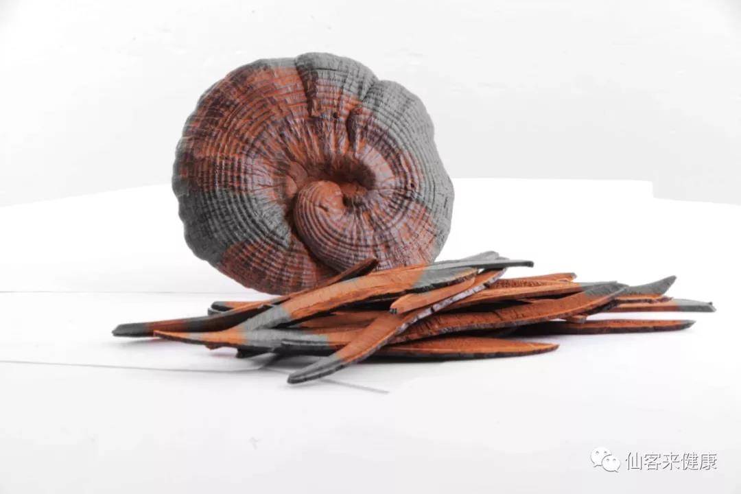 中國靈芝十大品牌|仙客來靈芝|仙客來靈芝破壁孢子粉|仙客來孢子油|仙客來靈芝飲片|仙客來破壁孢子粉|仙客來靈芝中藥飲片|馳名商標(biāo)|clgj56.com.cn|