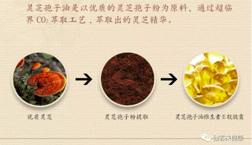 中國靈芝十大品牌|仙客來靈芝|仙客來靈芝破壁孢子粉|仙客來孢子油|仙客來靈芝飲片|仙客來破壁孢子粉|仙客來靈芝中藥飲片|馳名商標|clgj56.com.cn|