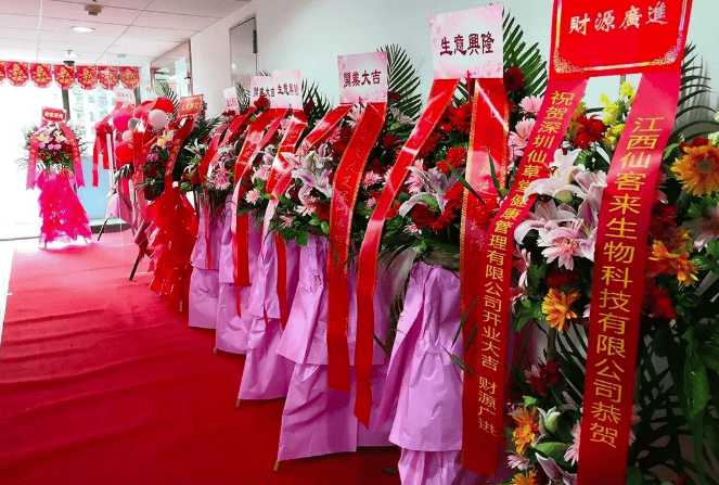 中國靈芝十大品牌|仙客來靈芝|仙客來靈芝破壁孢子粉|仙客來孢子油|仙客來靈芝飲片|仙客來破壁孢子粉|仙客來靈芝中藥飲片|馳名商標(biāo)|clgj56.com.cn|