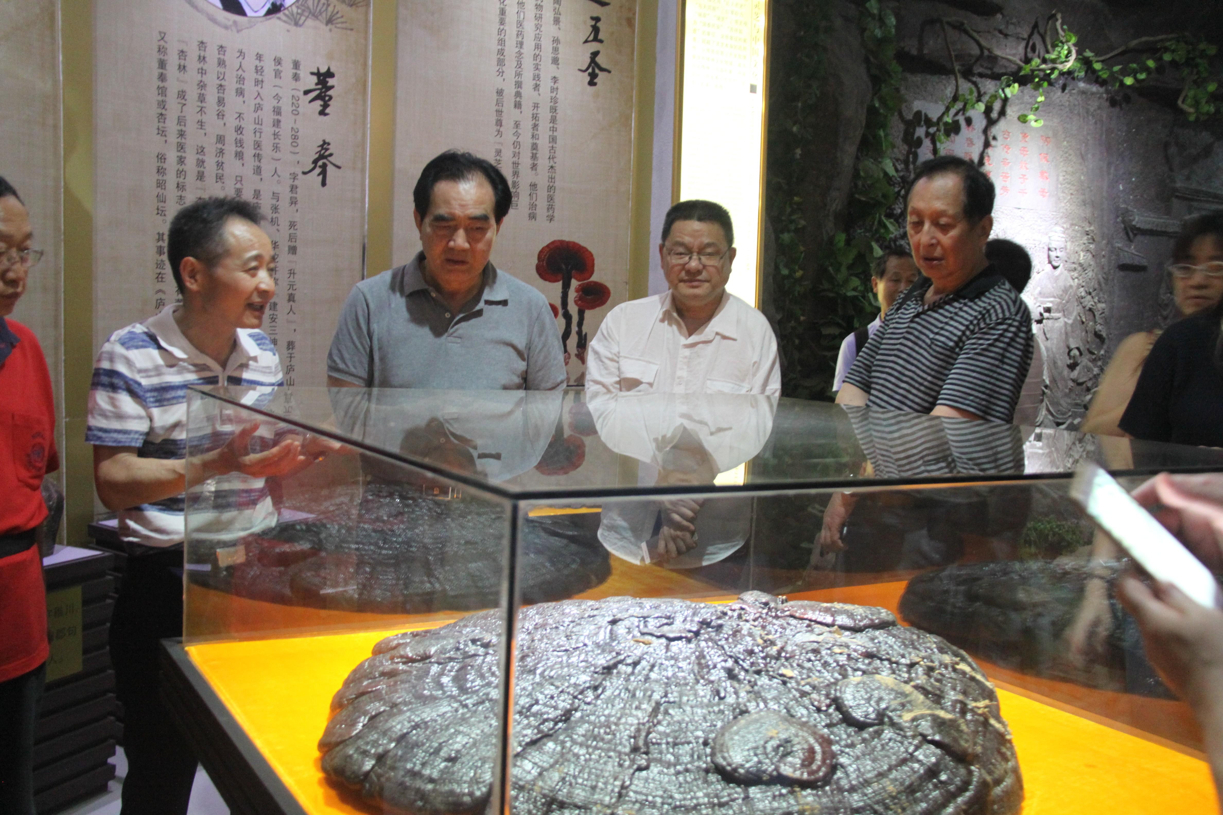中國靈芝十大品牌|仙客來靈芝|仙客來靈芝破壁孢子粉|仙客來孢子油|仙客來靈芝飲片|仙客來破壁孢子粉|仙客來靈芝中藥飲片|馳名商標(biāo)|clgj56.com.cn|