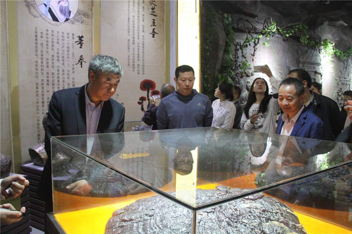 中國靈芝十大品牌|仙客來靈芝|仙客來靈芝破壁孢子粉|仙客來孢子油|仙客來靈芝飲片|仙客來破壁孢子粉|仙客來靈芝中藥飲片|馳名商標(biāo)|clgj56.com.cn|