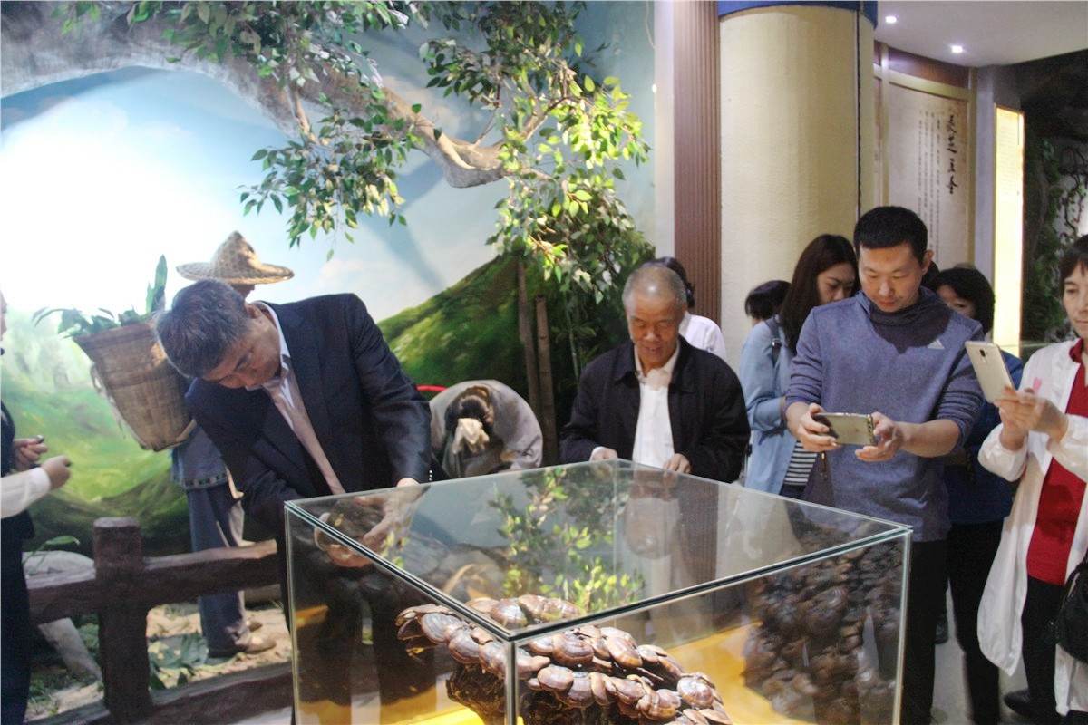 中國靈芝十大品牌|仙客來靈芝|仙客來靈芝破壁孢子粉|仙客來孢子油|仙客來靈芝飲片|仙客來破壁孢子粉|仙客來靈芝中藥飲片|馳名商標(biāo)|clgj56.com.cn|