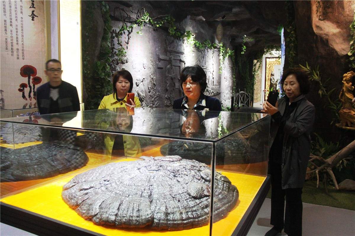 中國靈芝十大品牌|仙客來靈芝|仙客來靈芝破壁孢子粉|仙客來孢子油|仙客來靈芝飲片|仙客來破壁孢子粉|仙客來靈芝中藥飲片|馳名商標(biāo)|clgj56.com.cn|