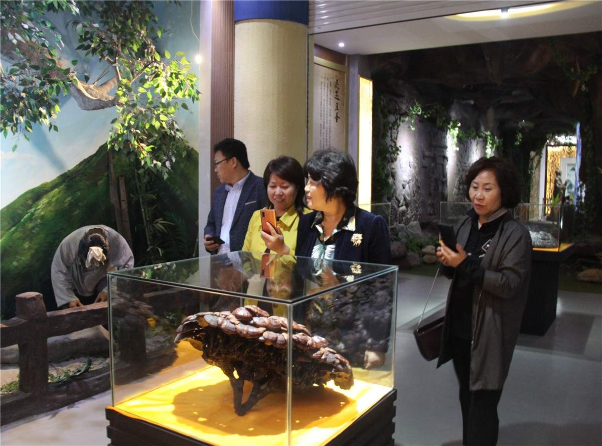 中國靈芝十大品牌|仙客來靈芝|仙客來靈芝破壁孢子粉|仙客來孢子油|仙客來靈芝飲片|仙客來破壁孢子粉|仙客來靈芝中藥飲片|馳名商標(biāo)|clgj56.com.cn|