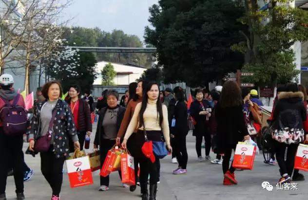 中國靈芝十大品牌|仙客來靈芝|仙客來靈芝破壁孢子粉|仙客來孢子油|仙客來靈芝飲片|仙客來破壁孢子粉|仙客來靈芝中藥飲片|馳名商標|clgj56.com.cn|