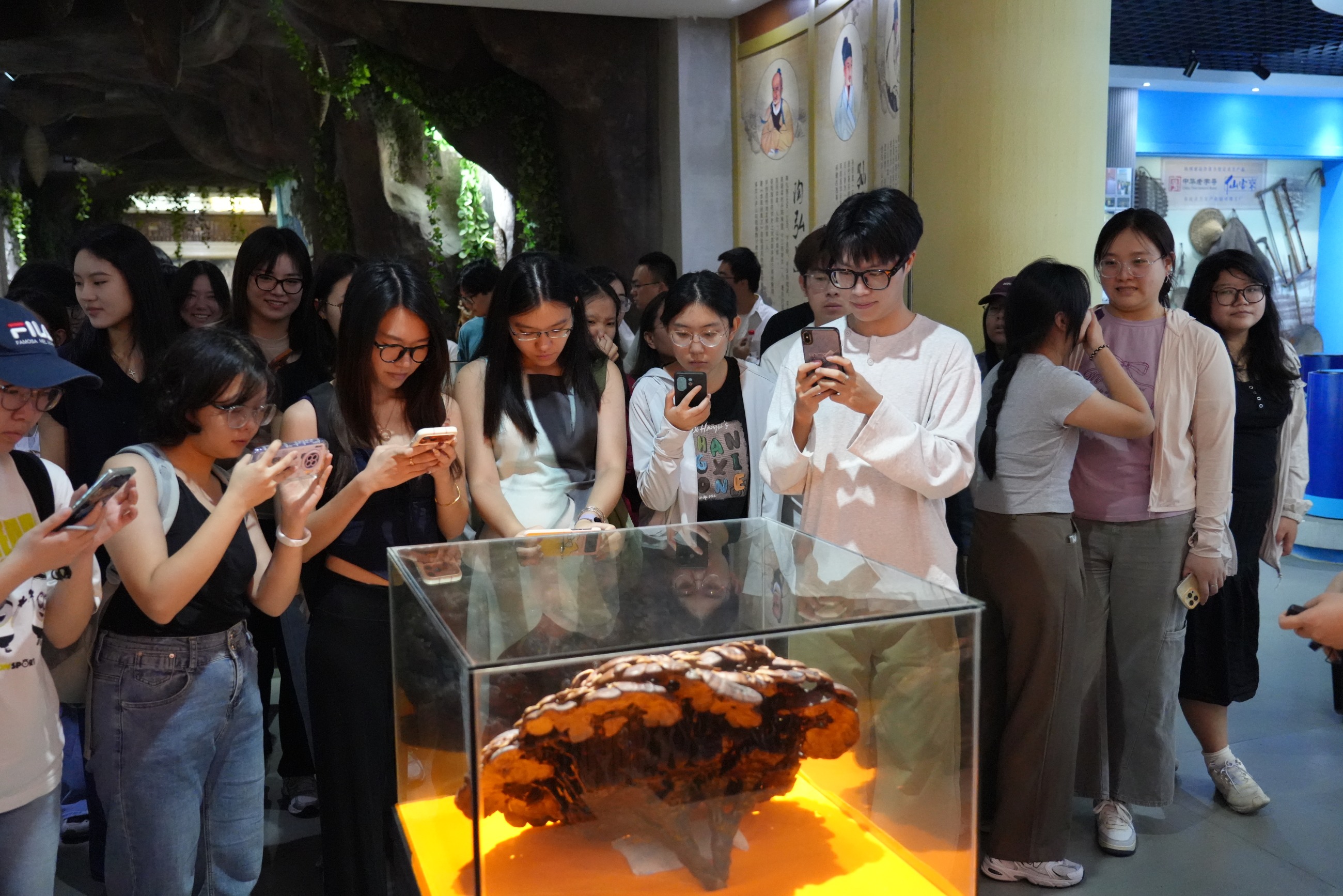 杭州亞運會官方靈芝產(chǎn)品供應商|杭州亞運會官方供應商|中國靈芝十大品牌|仙客來靈芝|仙客來靈芝破壁孢子粉|仙客來孢子油|仙客來靈芝飲片|仙客來破壁孢子粉|靈芝孢子油|孢子粉|靈芝破壁孢子粉|靈芝|中華老字號