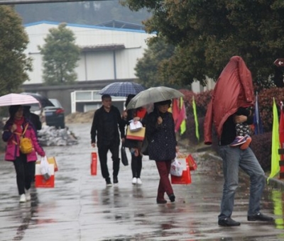 九江暴雨，仙客來“暴游”
