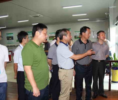 德安縣委、人大、政協(xié)領導考察仙客來公司