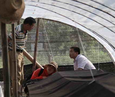 著名真菌學(xué)家戴玉成教授蒞臨仙客來(lái)公司考察指導(dǎo)