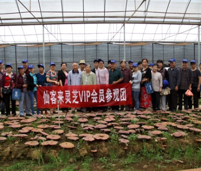 “慶國慶、賀重陽”專家義診活動(dòng)在仙客來公司隆重舉行