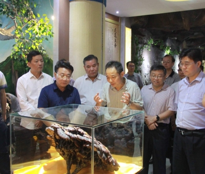 “降成本，優(yōu)環(huán)境”助企業(yè)騰飛——江西省政協(xié)副主席率團調研仙客來！