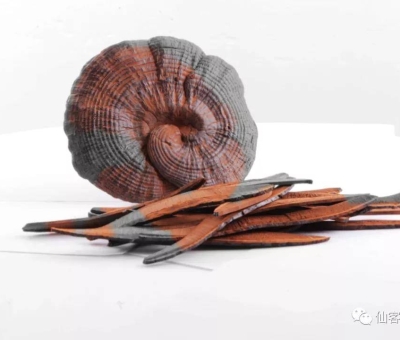 先，鮮，仙，一杯飲盡天下鮮。