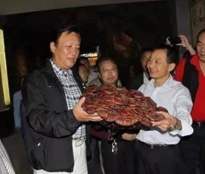 這樣過三月才是人生贏家！