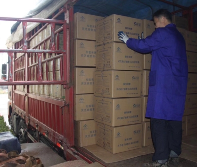 【4天加班15次缺貨】只為人皆有“芝”！