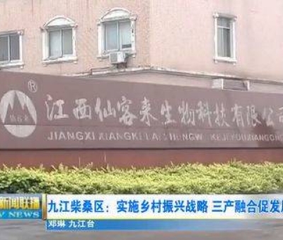 中國人只需要“別具”，缺失了“匠心”！