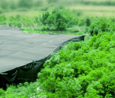 感謝廬山吧，這會(huì)是一場(chǎng)“仙旅情緣”