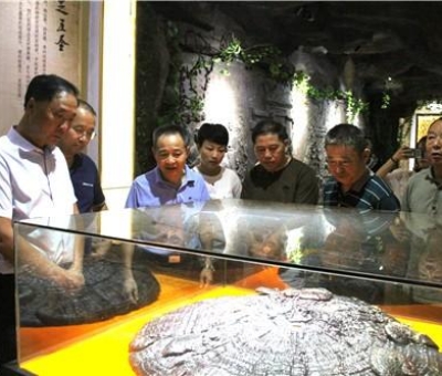 九江市南昌商會(huì)陳小平會(huì)長(zhǎng)一行來(lái)仙客來(lái)公司參觀考察