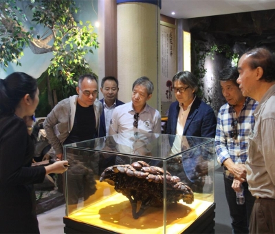 健康“良方”在這！全國政協(xié)委員、世界著名大學(xué)香港大學(xué) 榮譽(yù)院士孫少文博士蒞臨仙客來公司參觀考察