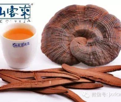 熱潮不斷！仙客來有機(jī)靈芝被點(diǎn)贊刷屏