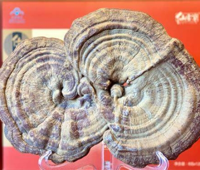 “它”是從古到今的健康佳肴  歷經數(shù)千年不衰