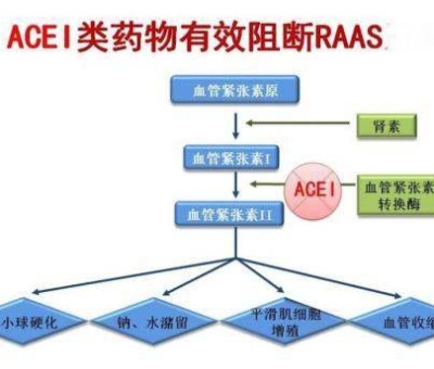 不吃藥，能降低高血壓？