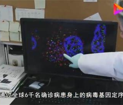 最新科學研究：新冠病毒使人體免疫系統“短路”
