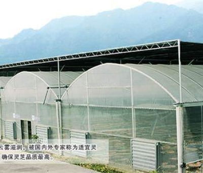 廬山環(huán)境孕育名優(yōu)特產