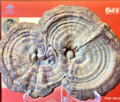 “它”延續(xù)數千年  助你美容養(yǎng)顏延緩衰老