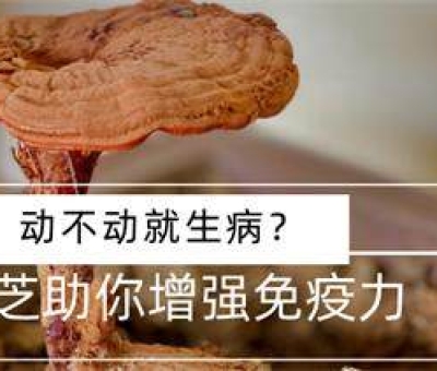 冬病夏治-如何調養(yǎng)身體？