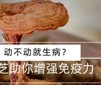 靈芝，預(yù)防您夏季上“火”