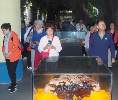 深深靈芝情！中華全國(guó)供銷合作總社再訪仙客來(lái)