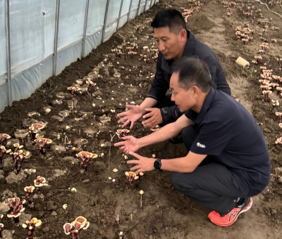 助力少數(shù)民族地區(qū)發(fā)展！潘新華應邀前往西藏拉薩市和林芝市 共商產(chǎn)業(yè)發(fā)展良策