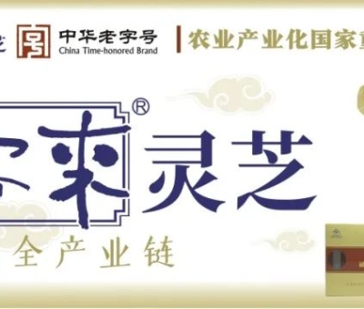 贊助商-仙客來(lái)靈芝，為健康加油